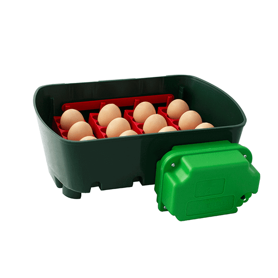 ET12 Äggkläckningsmaskin – 12 äggkapacitet med digital temperaturkontroll