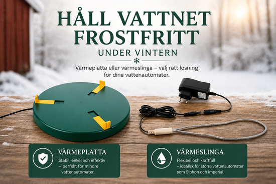 Hur håller man vattnet frostfritt för höns på vintern?