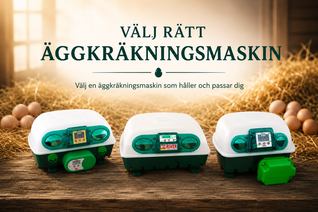 Vilken äggkläckningsmaskin passar dig bäst? – Vi jämför River Systems 4 olika modeller