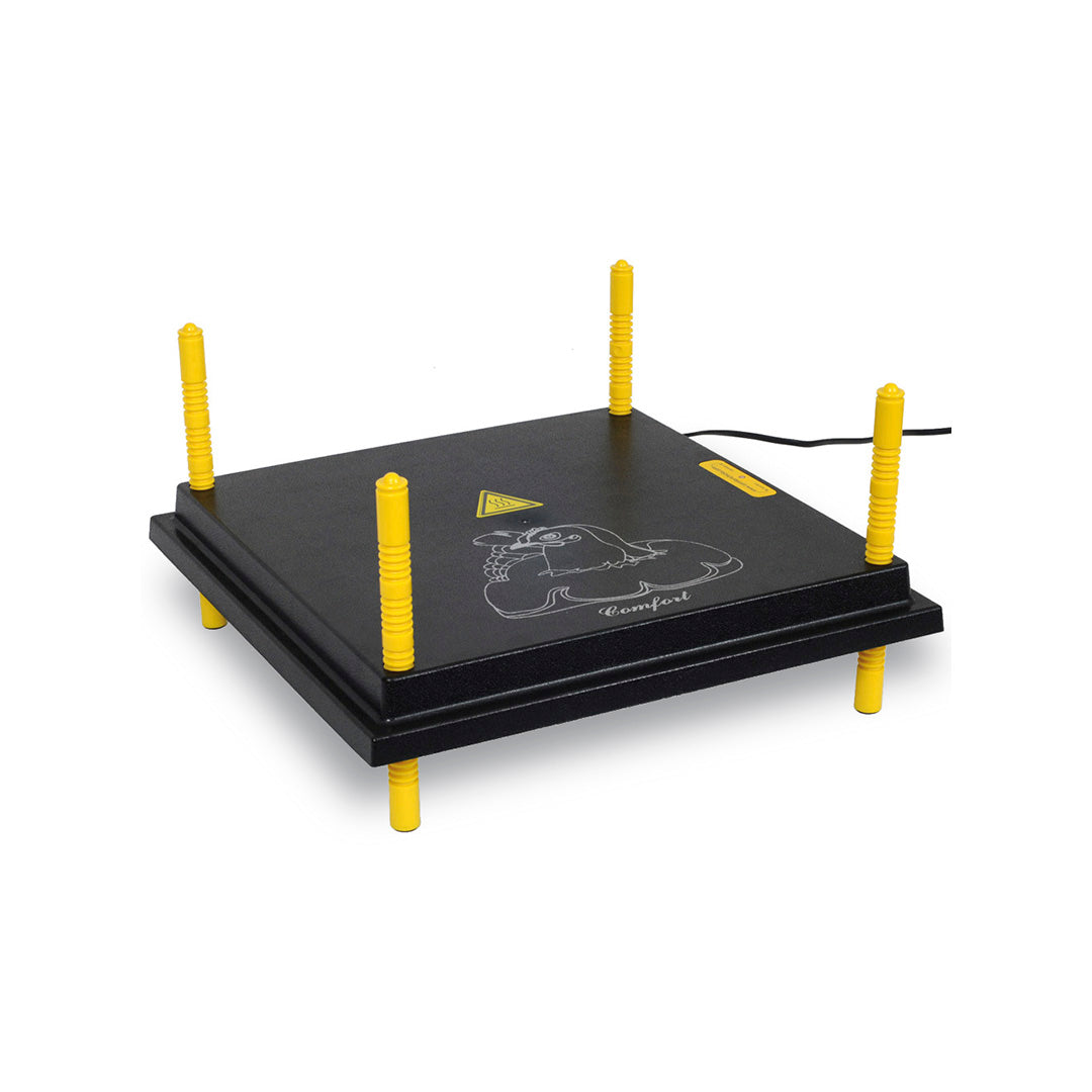 Kyckling Uppfödning