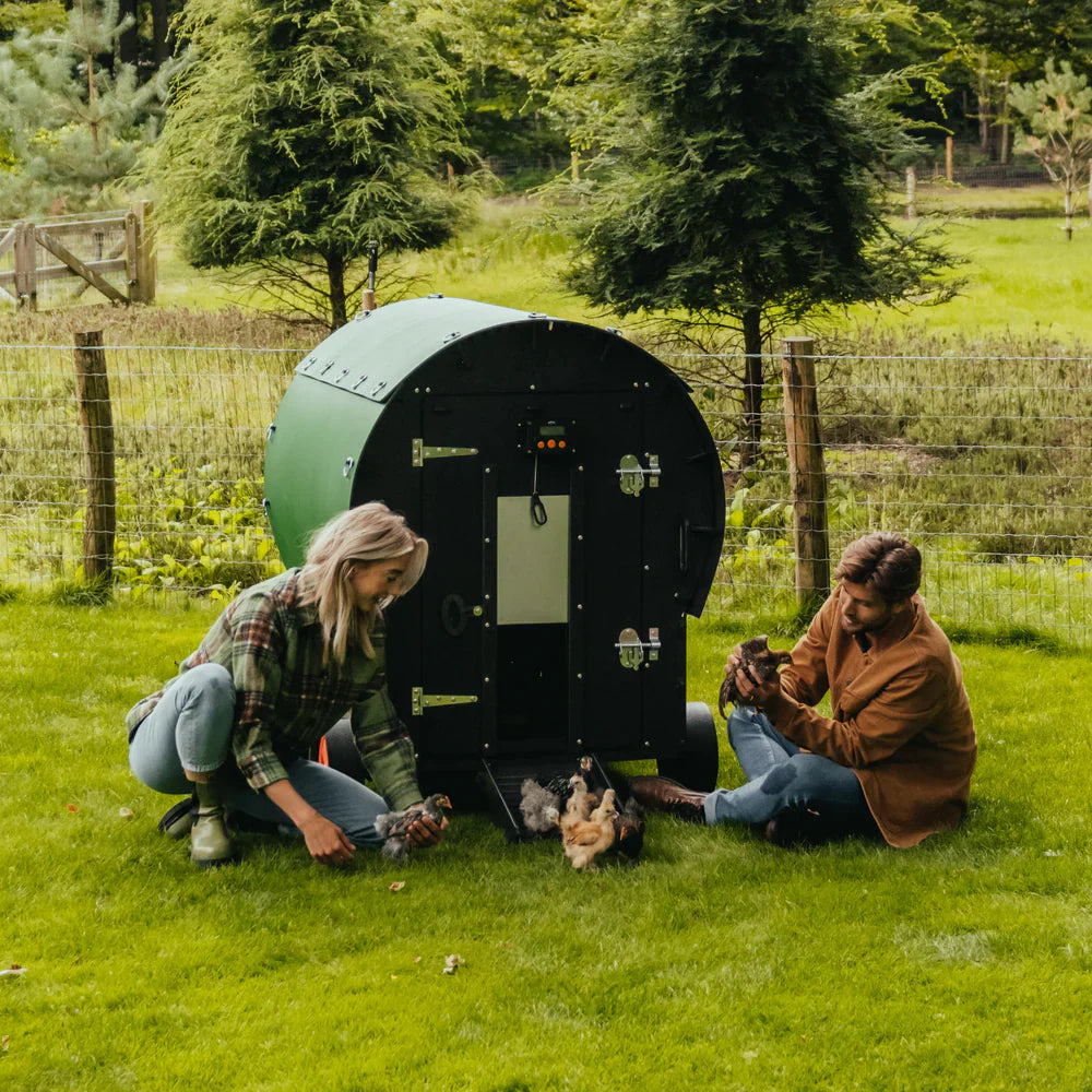 Nestera Hönshus & Tillbehör