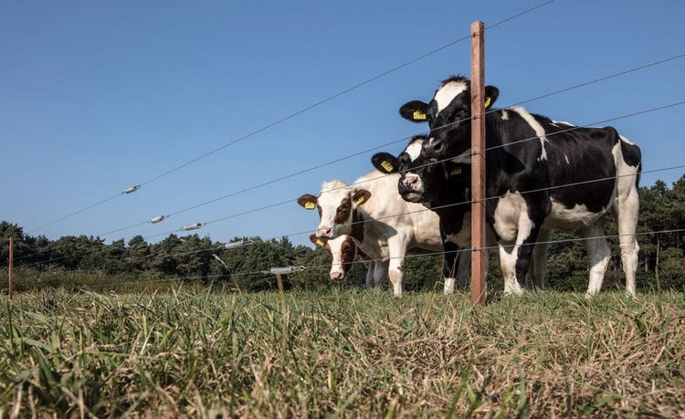 Elstängsel Tillbehör