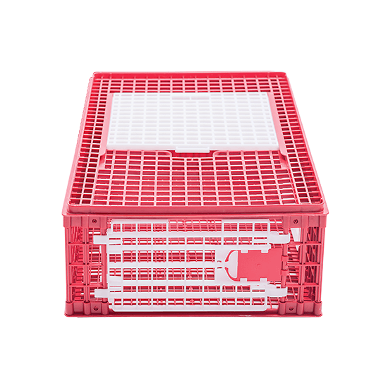 Transportbur för Höns i Plast med Skjutlucka & Frontdörr