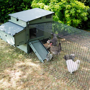 Hönsgård till Nestera Aspen