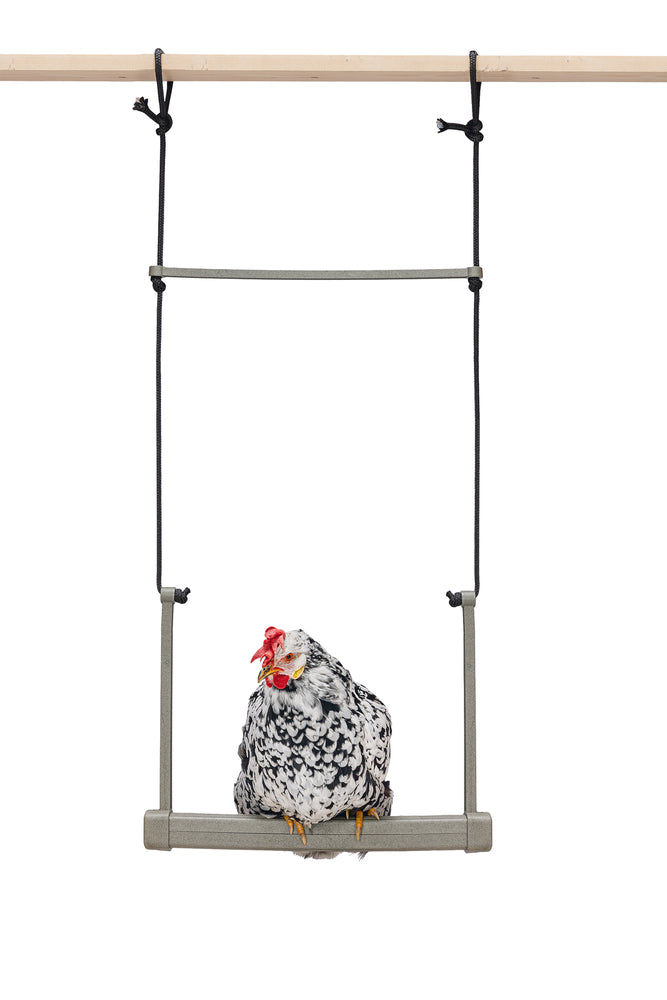 Hönsgunga i 100 % Återvunnet Material – För Aktiva och Välmående Höns