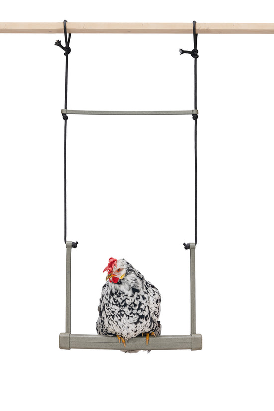 Hönsgunga i 100 % Återvunnet Material – För Aktiva och Välmående Höns