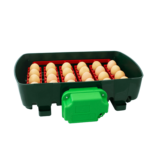 ET24 Äggkläckningsmaskin – 24 äggkapacitet med digital temperaturkontroll