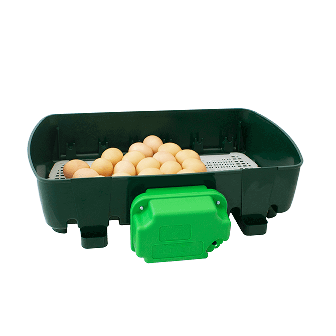 ET24 Äggkläckningsmaskin – 24 äggkapacitet med digital temperaturkontroll