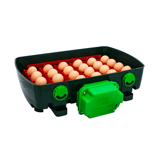 ET Super Äggkläckningsmaskin – 24 äggkapacitet med avancerad funktionalitet