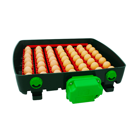 ET Super Äggkläckningsmaskin – 49 äggkapacitet med avancerad funktionalitet