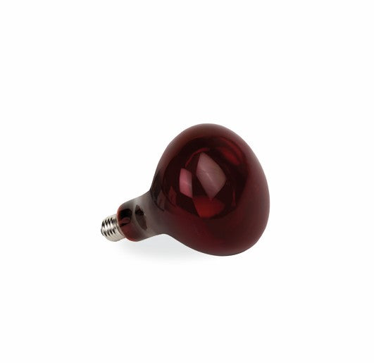 Infravärmelampa – 250 W för större lamphållare