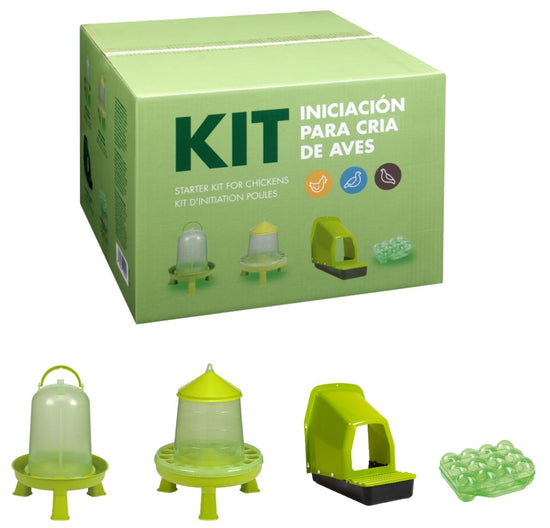 Startkit för höns – komplett paket för nybörjare